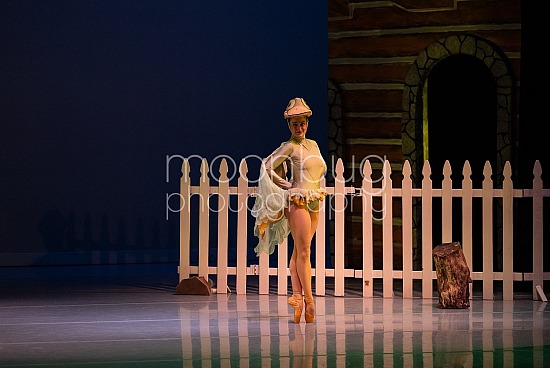 IB Peter and the Wolf